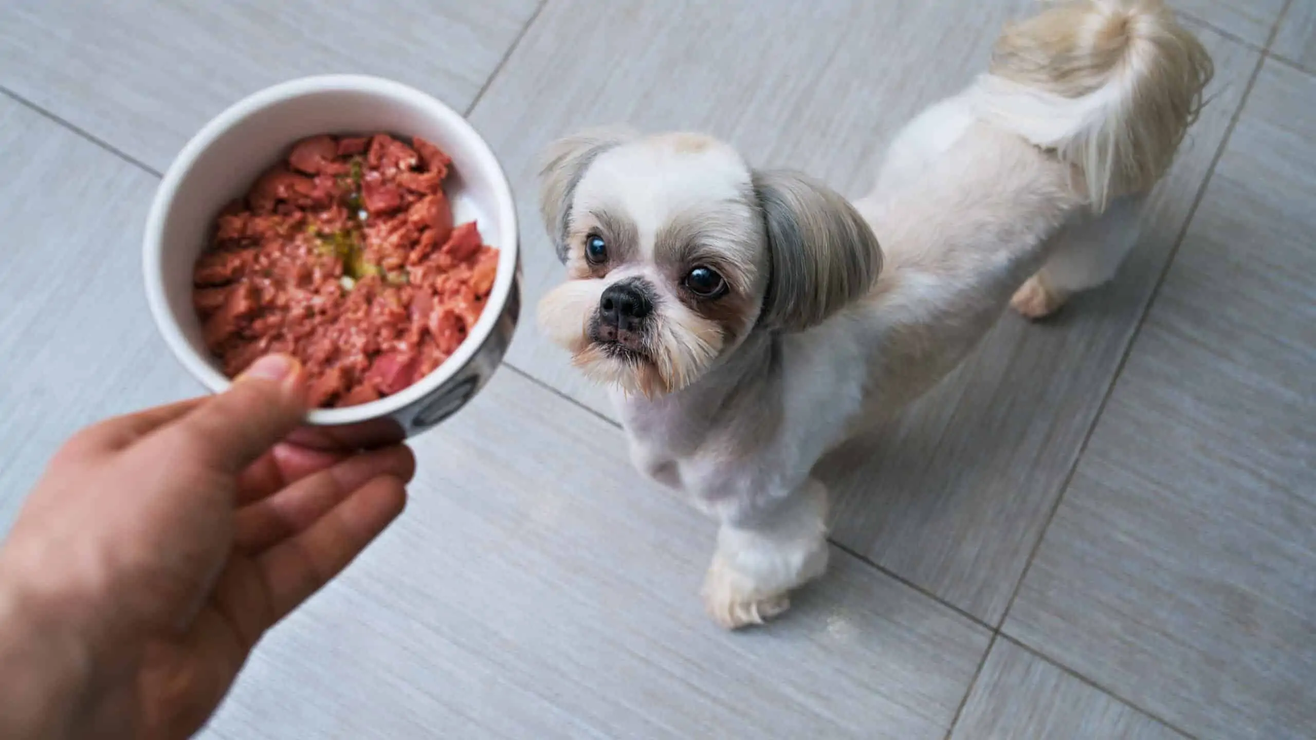 Chicken Pet Mince
